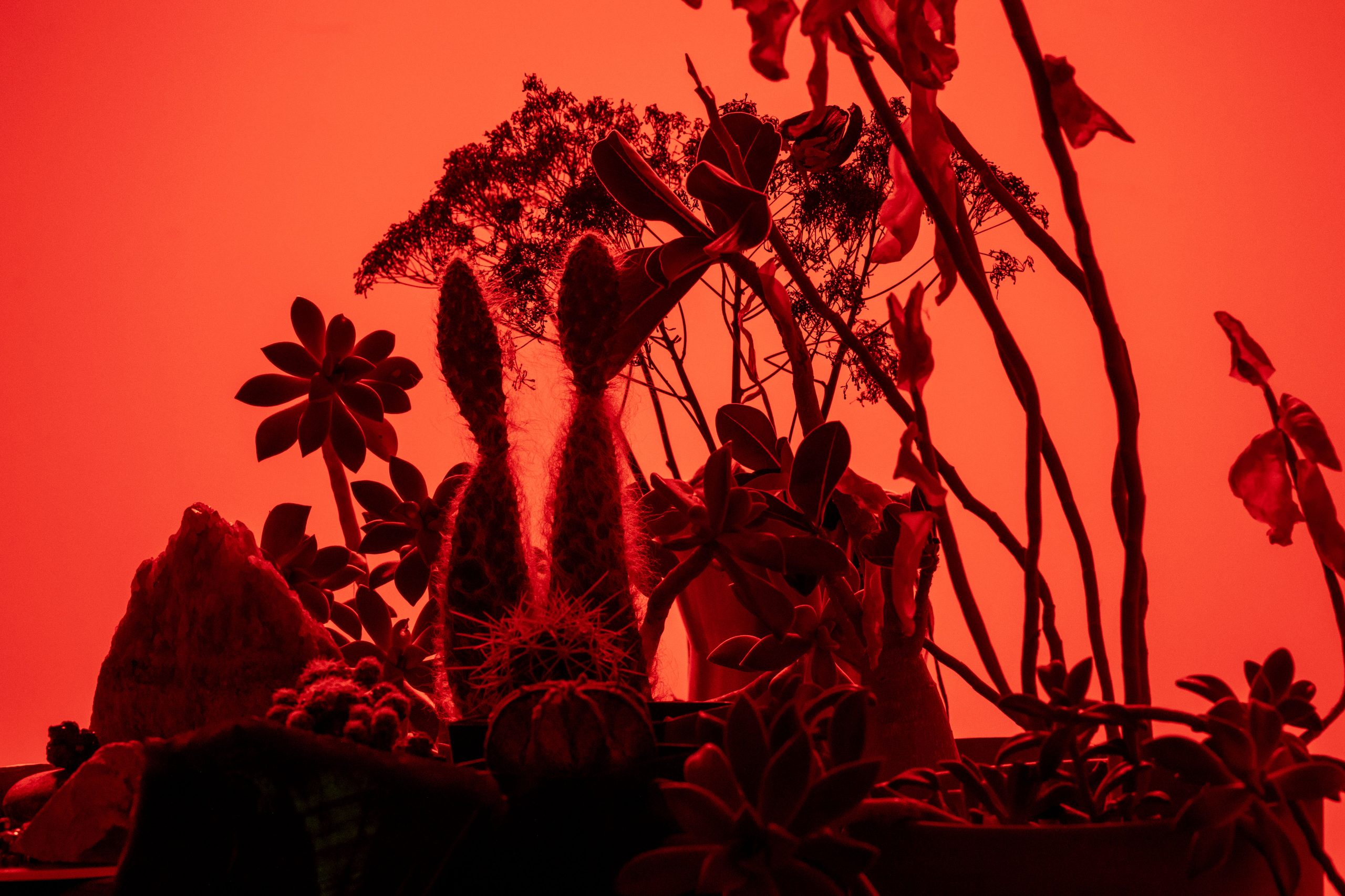 Photography — Essentials Creative portrait, editorial and documentary work