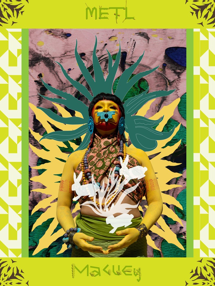 Metl · Maguey
